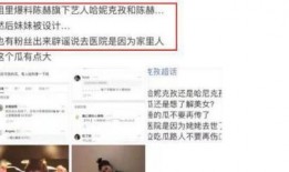 陈赫哈妮克孜爆料视频播放,揭秘背后真相