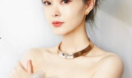 校草宋轶爆料视频,校草背后的爆料视频幕后故事